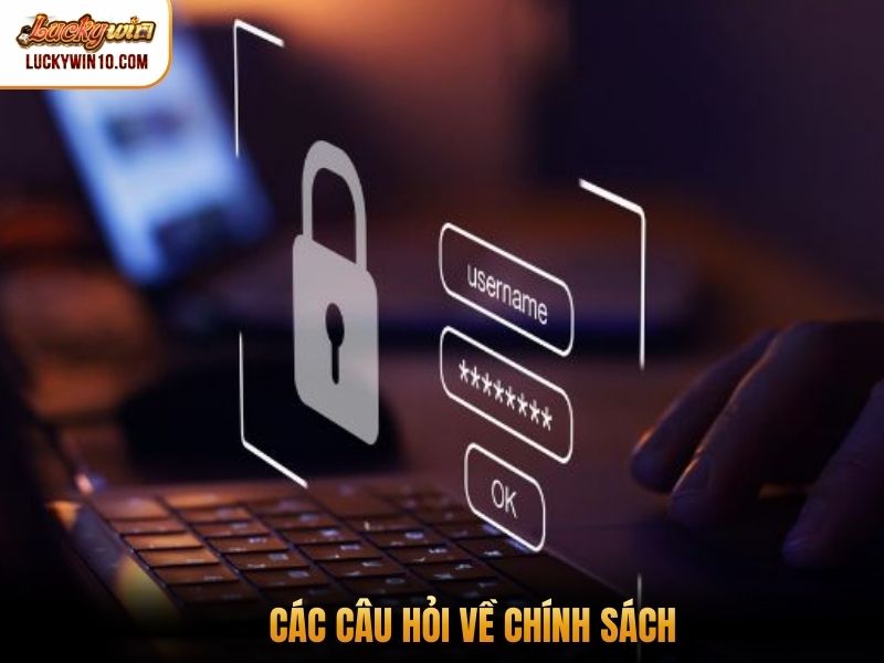 Các câu hỏi về chính sách