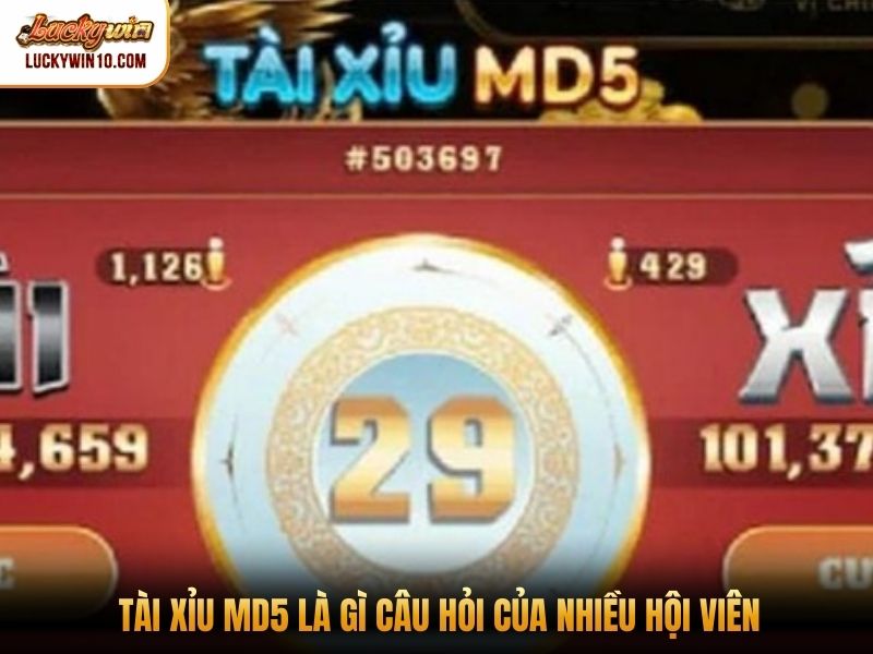 Tài xỉu MD5 là gì câu hỏi của nhiều hội viên