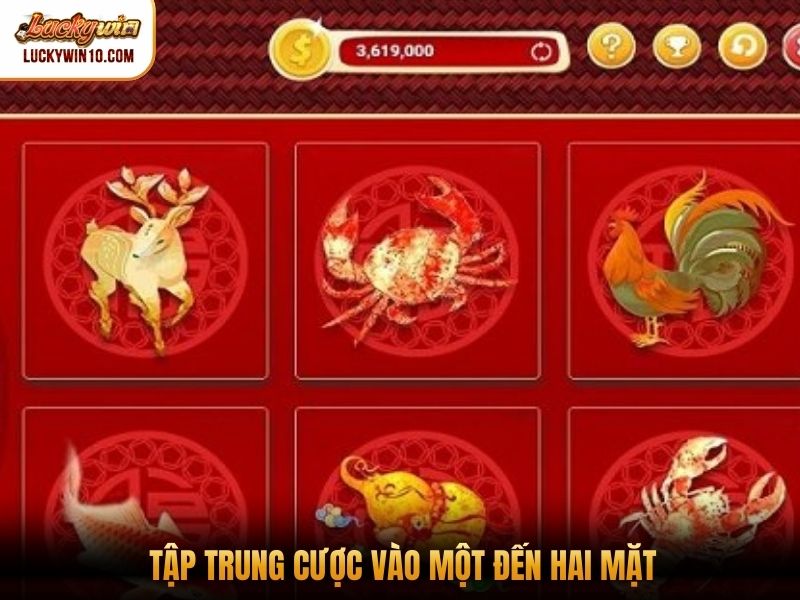 Tập trung cược vào một đến hai mặt
